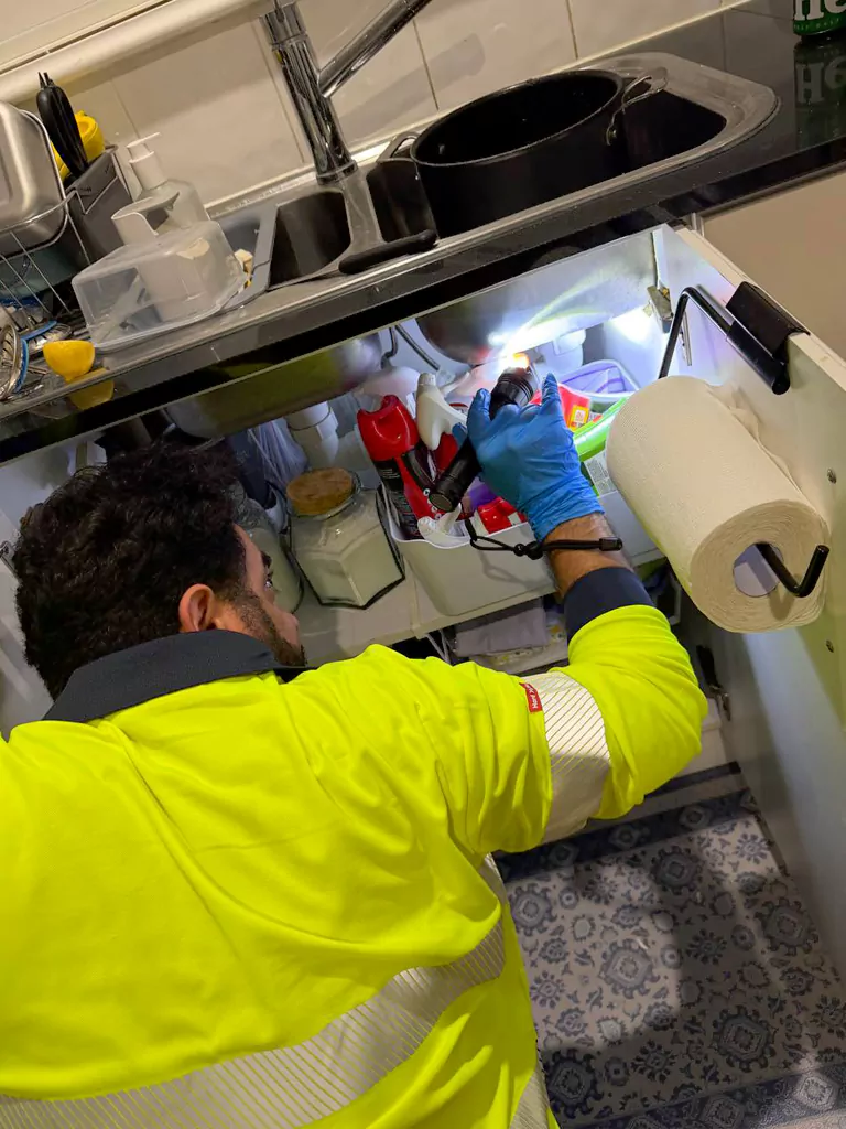 Jahan's Pest Control technician inspecting a commercial property for pests in Sydney