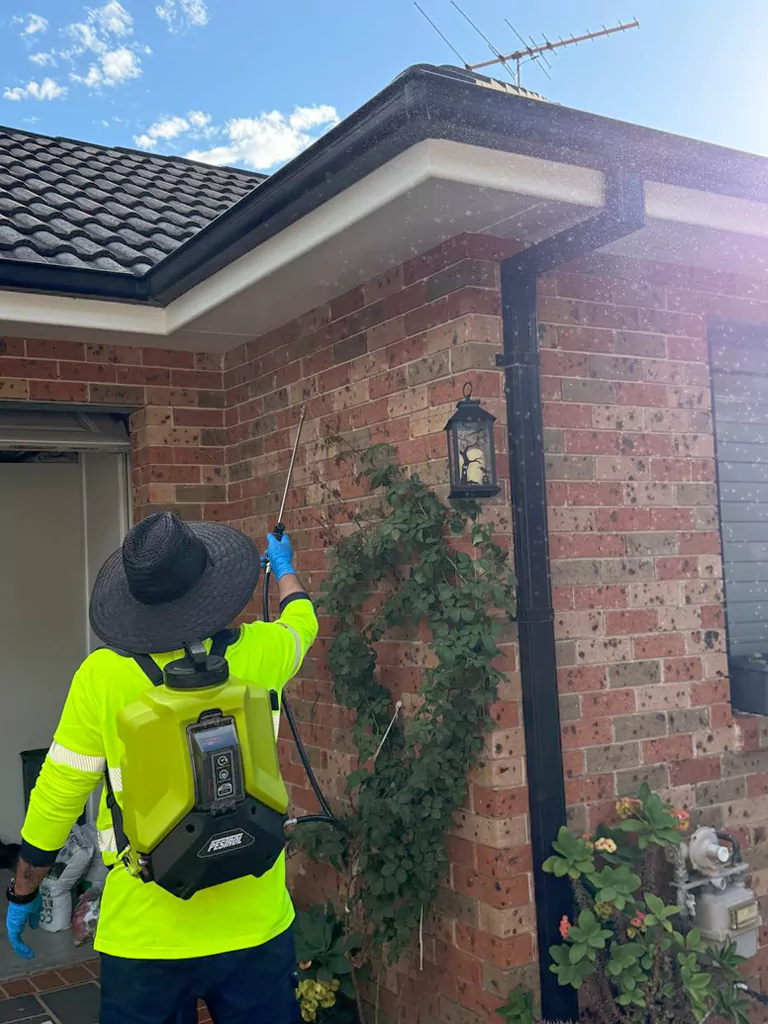 End of lease pest treatment for a residential rental property in Sydney