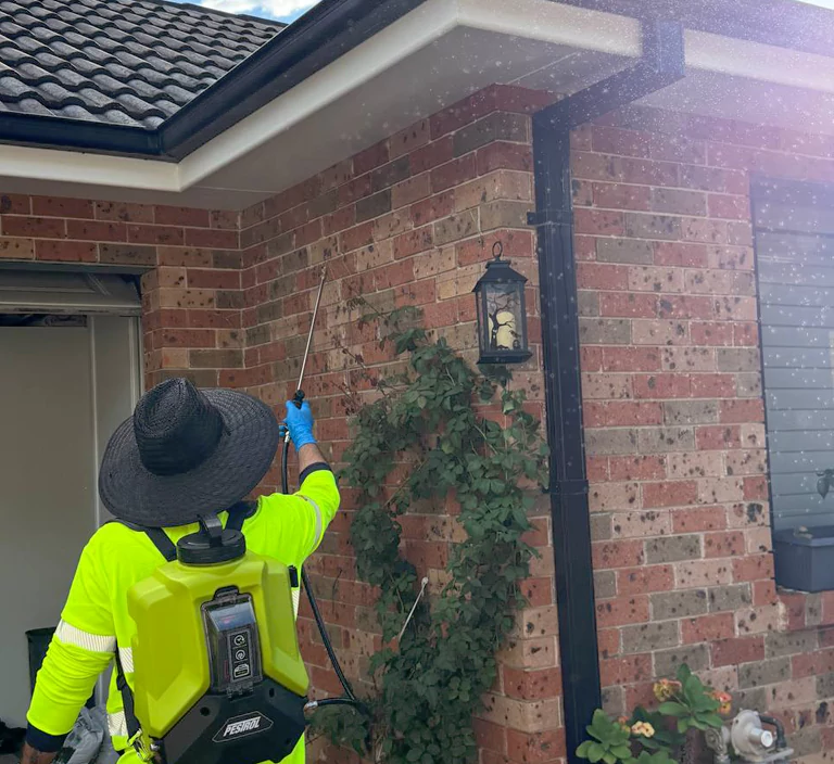 End of Lease Pest Control