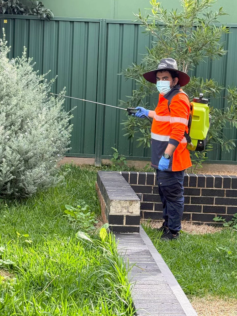 Professional pest control technician spraying the outdoor area of a Sydney home