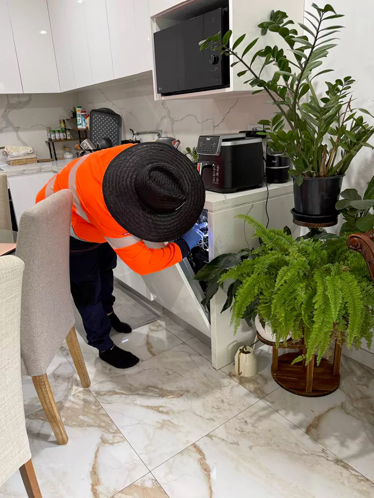 Termite control technician inspecting kitchen cabinets for termite activity in Sydney